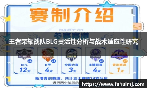 王者荣耀战队BLG灵活性分析与战术适应性研究