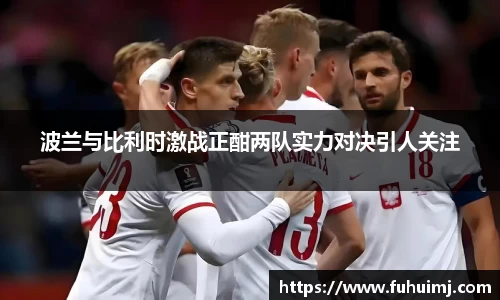 波兰与比利时激战正酣两队实力对决引人关注