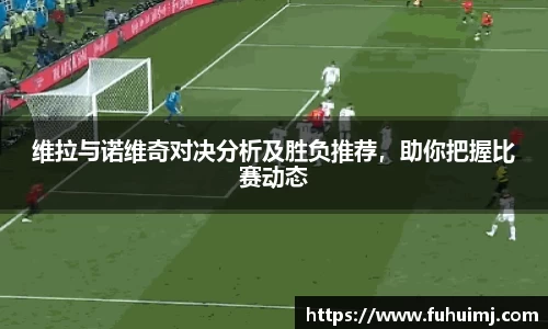 维拉与诺维奇对决分析及胜负推荐，助你把握比赛动态